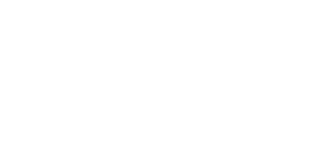 L2 300×150