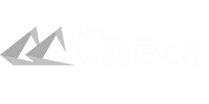 cotecal 300×150