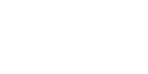 inelro 300×150